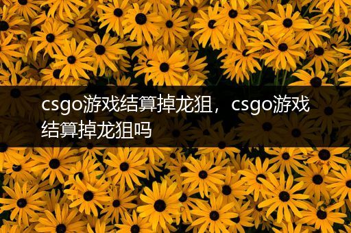 csgo游戏结算掉龙狙，csgo游戏结算掉龙狙吗