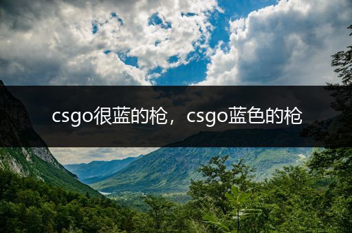 csgo很蓝的枪，csgo蓝色的枪
