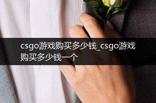 csgo游戏购买多少钱_csgo游戏购买多少钱一个