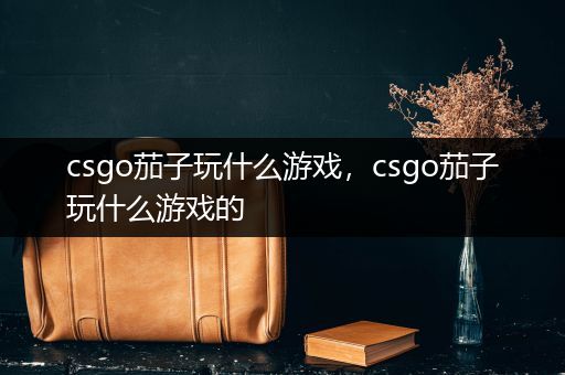 csgo茄子玩什么游戏，csgo茄子玩什么游戏的