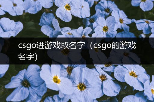 csgo进游戏取名字（csgo的游戏名字）