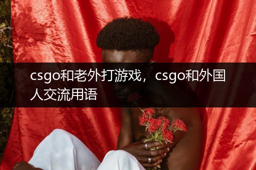 csgo和老外打游戏，csgo和外国人交流用语