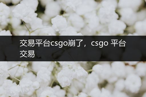 交易平台csgo崩了，csgo 平台交易
