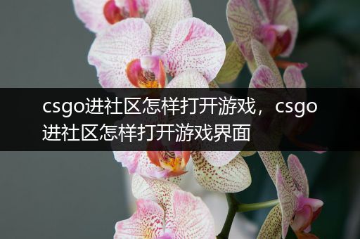 csgo进社区怎样打开游戏，csgo进社区怎样打开游戏界面