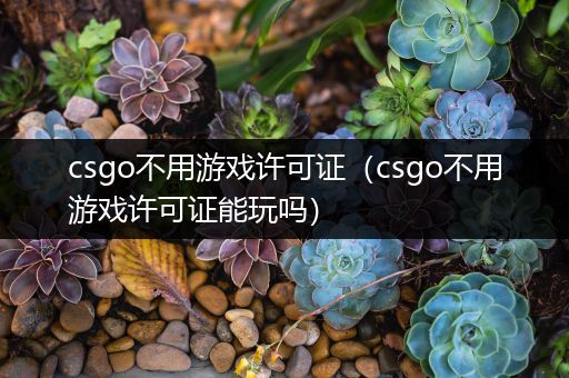 csgo不用游戏许可证（csgo不用游戏许可证能玩吗）
