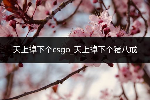 天上掉下个csgo_天上掉下个猪八戒