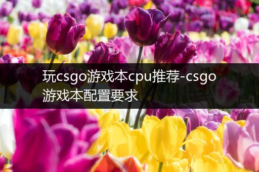 玩csgo游戏本cpu推荐-csgo游戏本配置要求