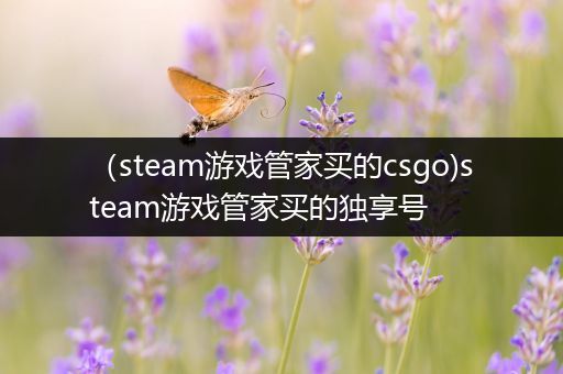 （steam游戏管家买的csgo)steam游戏管家买的独享号