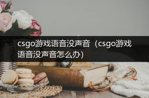 csgo游戏语音没声音（csgo游戏语音没声音怎么办）