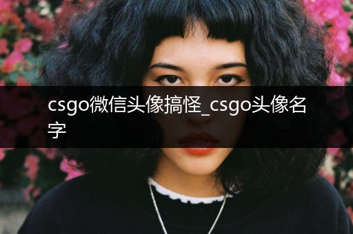 csgo微信头像搞怪_csgo头像名字