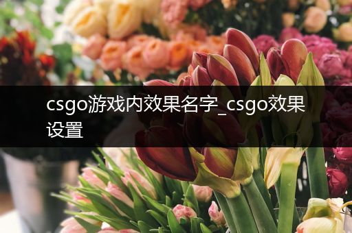 csgo游戏内效果名字_csgo效果设置