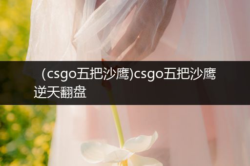 （csgo五把沙鹰)csgo五把沙鹰逆天翻盘
