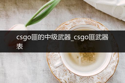 csgo匪的中级武器_csgo匪武器表