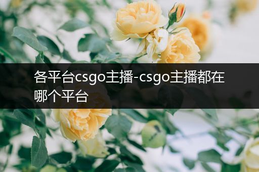各平台csgo主播-csgo主播都在哪个平台