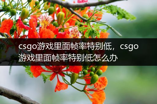 csgo游戏里面帧率特别低，csgo游戏里面帧率特别低怎么办