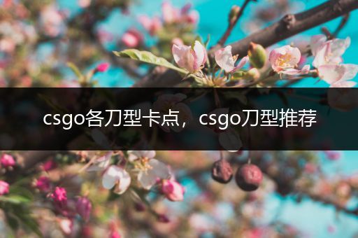 csgo各刀型卡点，csgo刀型推荐