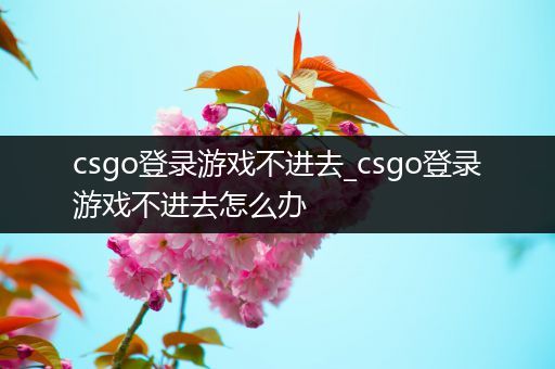 csgo登录游戏不进去_csgo登录游戏不进去怎么办