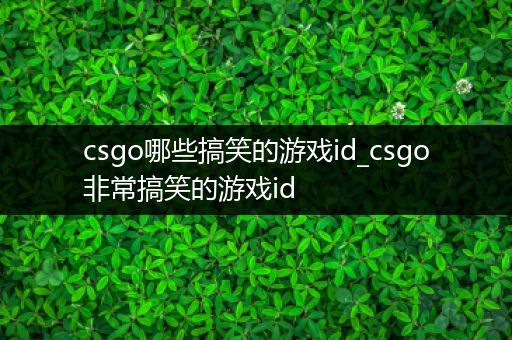 csgo哪些搞笑的游戏id_csgo非常搞笑的游戏id