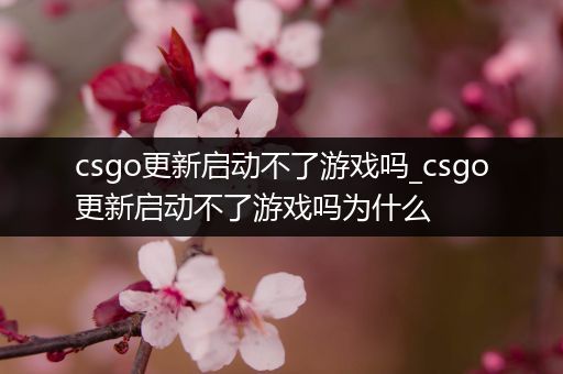 csgo更新启动不了游戏吗_csgo更新启动不了游戏吗为什么