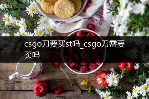 csgo刀要买st吗_csgo刀需要买吗