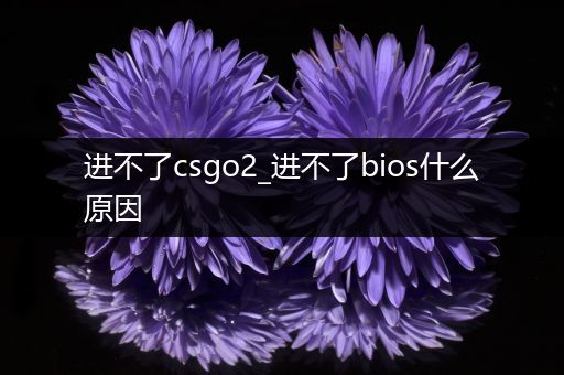 进不了csgo2_进不了bios什么原因