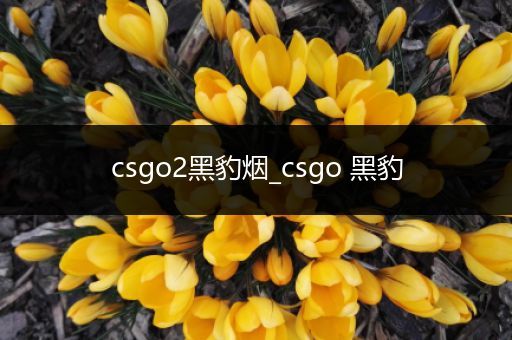 csgo2黑豹烟_csgo 黑豹