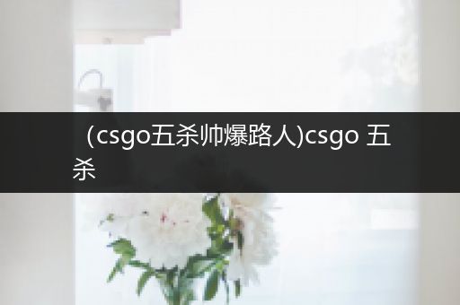 （csgo五杀帅爆路人)csgo 五杀