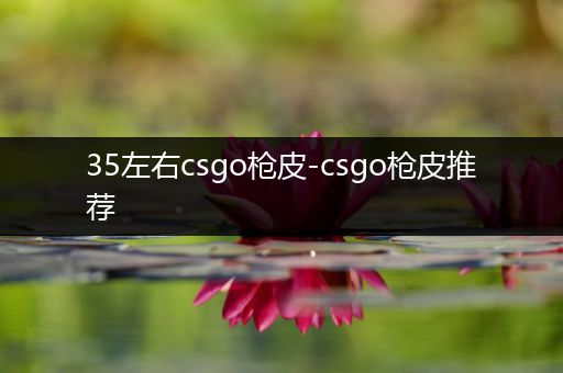 35左右csgo枪皮-csgo枪皮推荐