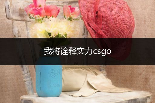 我将诠释实力csgo