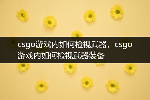 csgo游戏内如何检视武器，csgo游戏内如何检视武器装备