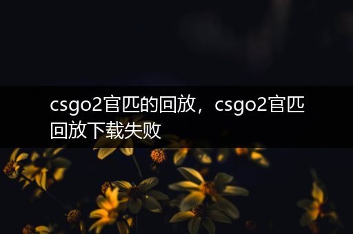 csgo2官匹的回放，csgo2官匹回放下载失败