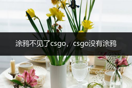 涂鸦不见了csgo，csgo没有涂鸦