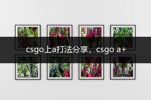 csgo上a打法分享，csgo a+