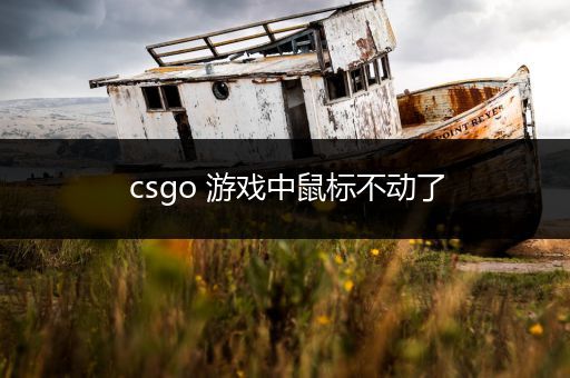 csgo 游戏中鼠标不动了