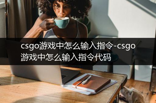 csgo游戏中怎么输入指令-csgo游戏中怎么输入指令代码