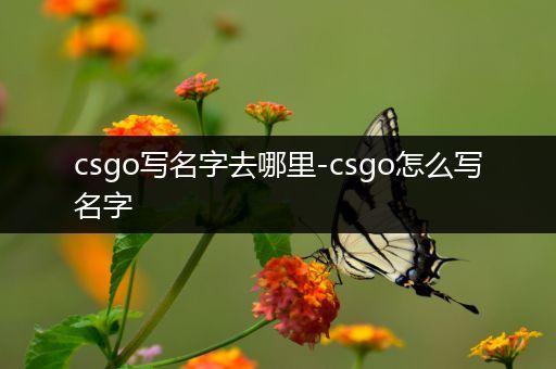 csgo写名字去哪里-csgo怎么写名字