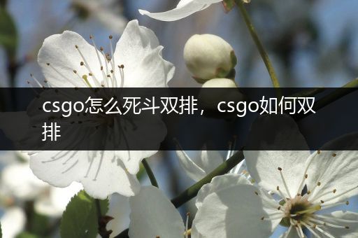 csgo怎么死斗双排，csgo如何双排