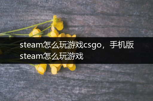 steam怎么玩游戏csgo，手机版steam怎么玩游戏