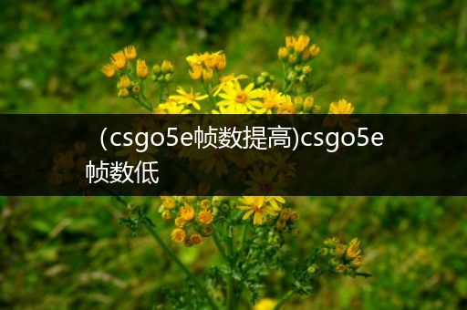 （csgo5e帧数提高)csgo5e帧数低