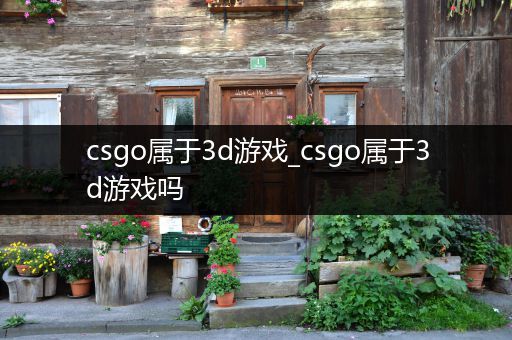 csgo属于3d游戏_csgo属于3d游戏吗