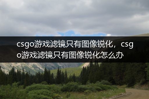 csgo游戏滤镜只有图像锐化，csgo游戏滤镜只有图像锐化怎么办