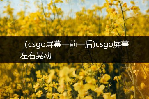 （csgo屏幕一前一后)csgo屏幕左右晃动