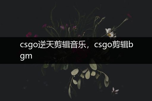 csgo逆天剪辑音乐，csgo剪辑bgm