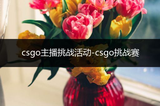 csgo主播挑战活动-csgo挑战赛