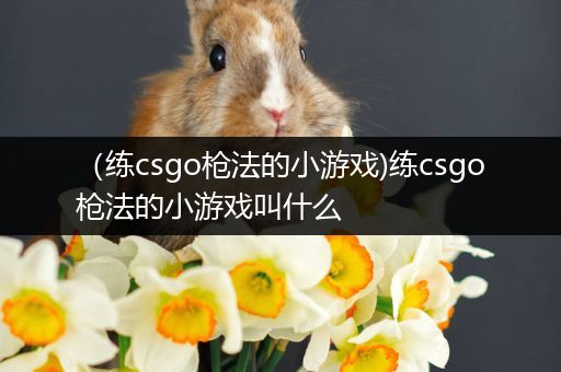 （练csgo枪法的小游戏)练csgo枪法的小游戏叫什么