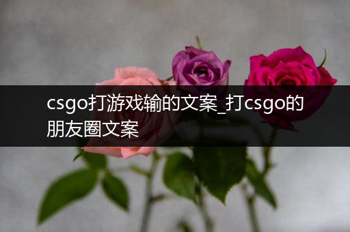 csgo打游戏输的文案_打csgo的朋友圈文案