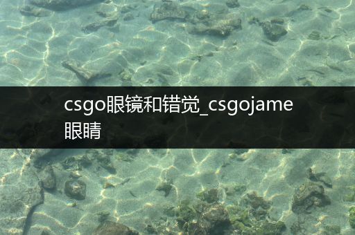 csgo眼镜和错觉_csgojame眼睛