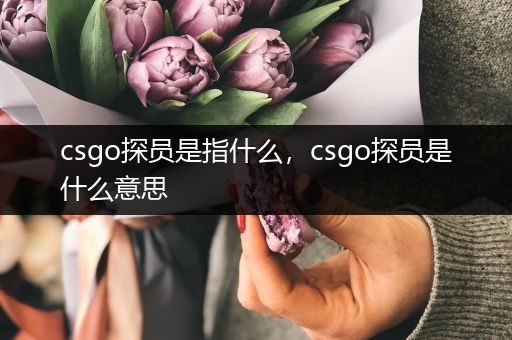 csgo探员是指什么，csgo探员是什么意思