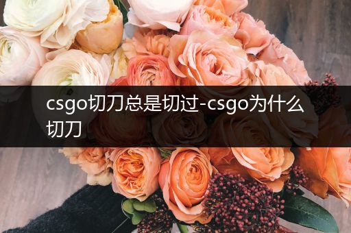 csgo切刀总是切过-csgo为什么切刀