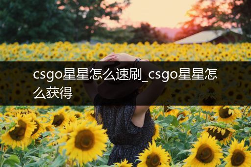 csgo星星怎么速刷_csgo星星怎么获得